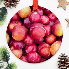 Plums 1 Ornament (round) by trendistuff