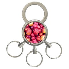 Plums 1 3-ring Key Chains by trendistuff