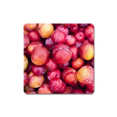 Plums 1 Square Magnet by trendistuff