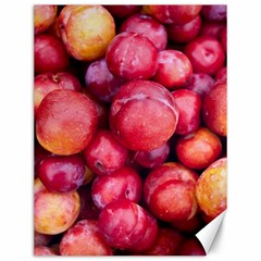 Plums 1 Canvas 12  X 16   by trendistuff