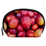 PLUMS 1 Accessory Pouches (Large)  Front