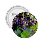 GRAPES 2 2.25  Buttons