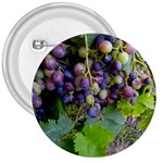 GRAPES 2 3  Buttons