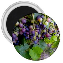 Grapes 2 3  Magnets by trendistuff