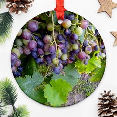 Grapes 2 Ornament (round) by trendistuff