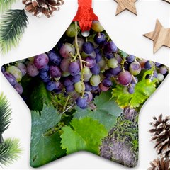 Grapes 2 Ornament (star) by trendistuff