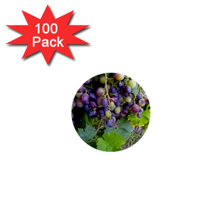 GRAPES 2 1  Mini Buttons (100 pack) 