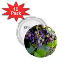 GRAPES 2 1.75  Buttons (10 pack)