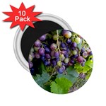 GRAPES 2 2.25  Magnets (10 pack) 