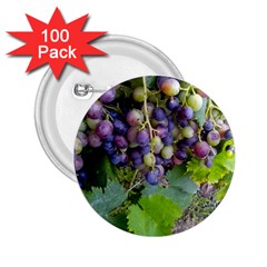 Grapes 2 2 25  Buttons (100 Pack)  by trendistuff