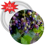 GRAPES 2 3  Buttons (10 pack) 