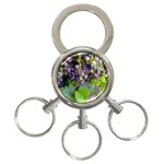 GRAPES 2 3-Ring Key Chains