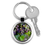 GRAPES 2 Key Chains (Round) 