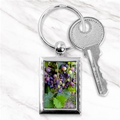 Grapes 2 Key Chains (rectangle)  by trendistuff