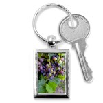 GRAPES 2 Key Chains (Rectangle) 