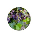 GRAPES 2 Magnet 3  (Round)