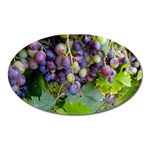 GRAPES 2 Oval Magnet