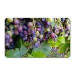 GRAPES 2 Magnet (Rectangular)