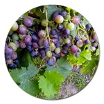 GRAPES 2 Magnet 5  (Round)