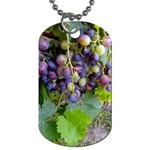 GRAPES 2 Dog Tag (One Side)