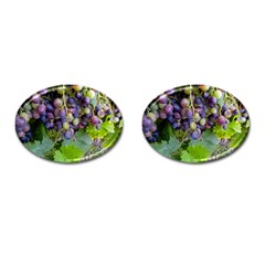 Grapes 2 Cufflinks (oval) by trendistuff