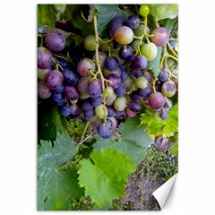 Grapes 2 Canvas 12  X 18   by trendistuff