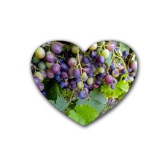 Grapes 2 Heart Coaster (4 Pack)  by trendistuff