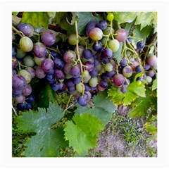 Grapes 2 Medium Glasses Cloth (2-side) by trendistuff