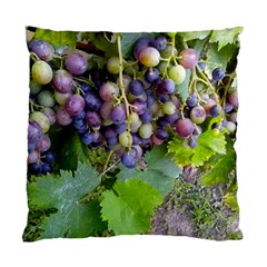 Grapes 2 Standard Cushion Case (two Sides) by trendistuff