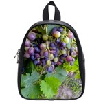 GRAPES 2 School Bag (Small) Front