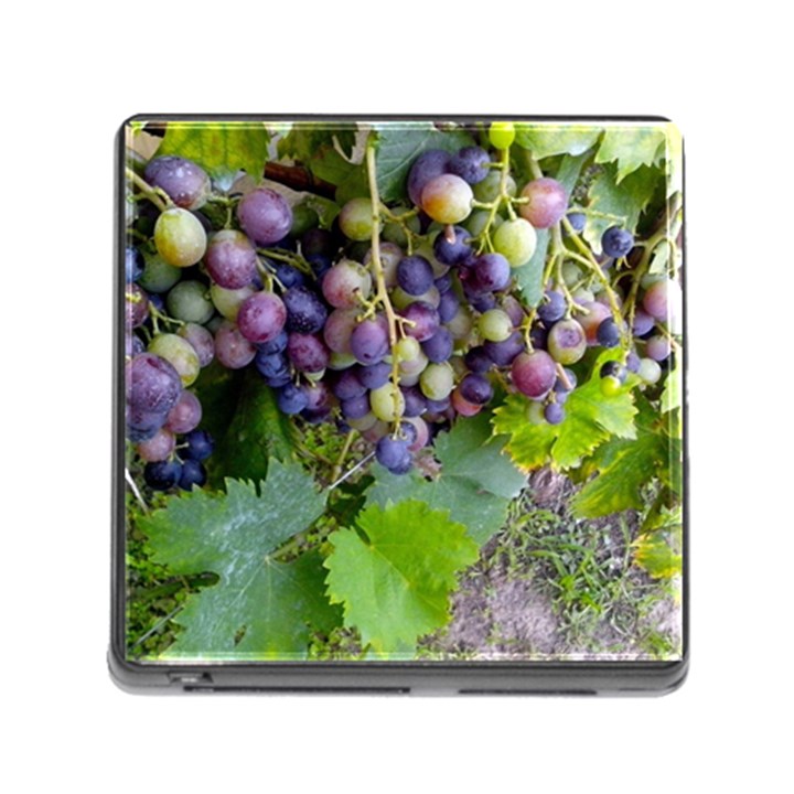 GRAPES 2 Memory Card Reader (Square)