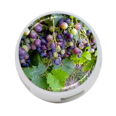 Grapes 2 4-port Usb Hub (one Side) by trendistuff