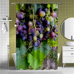 Grapes 2 Shower Curtain 48  X 72  (small)  by trendistuff