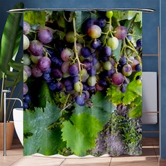 Grapes 2 Shower Curtain 60  X 72  (medium)  by trendistuff