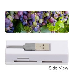 Grapes 2 Memory Card Reader (stick)  by trendistuff