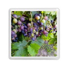 Grapes 2 Memory Card Reader (square)  by trendistuff