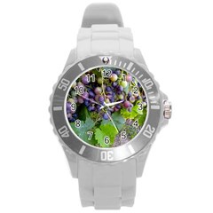 Grapes 2 Round Plastic Sport Watch (l) by trendistuff