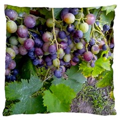 Grapes 2 Large Cushion Case (two Sides) by trendistuff