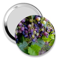 Grapes 2 3  Handbag Mirrors by trendistuff