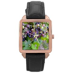 Grapes 2 Rose Gold Leather Watch  by trendistuff