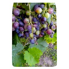 Grapes 2 Flap Covers (s)  by trendistuff