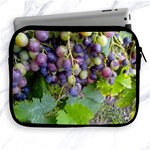 GRAPES 2 Apple iPad 2/3/4 Zipper Cases Front