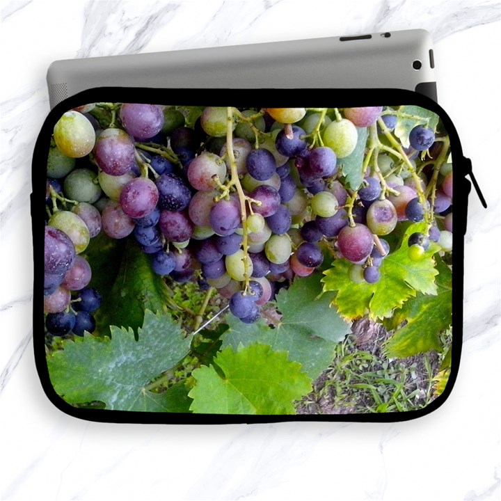 GRAPES 2 Apple iPad 2/3/4 Zipper Cases