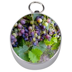 Grapes 2 Silver Compasses by trendistuff