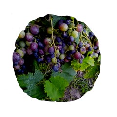 Grapes 2 Standard 15  Premium Flano Round Cushions by trendistuff