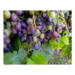 Grapes 2 Double Sided Flano Blanket (large)  by trendistuff