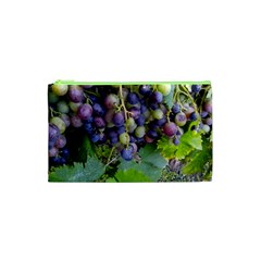 Grapes 2 Cosmetic Bag (xs) by trendistuff