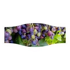 Grapes 2 Stretchable Headband by trendistuff