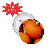 Pumpkins 1 1 75  Buttons (10 Pack) by trendistuff