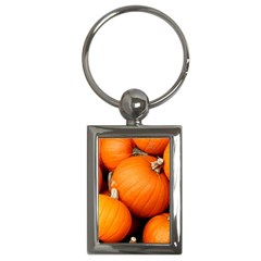 Pumpkins 1 Key Chains (rectangle) 